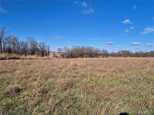 $242,000 | 0 County Road 197, Montgomery City, MO 63361