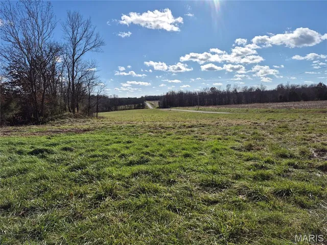 $242,000 | 0 County Road 197, Montgomery City, MO 63361