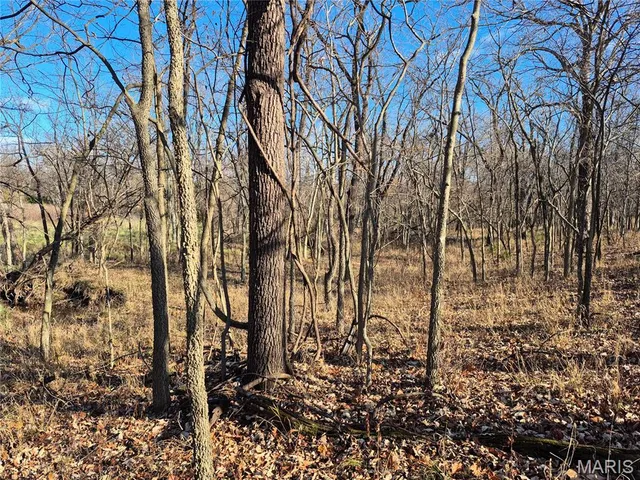 $242,000 | 0 County Road 197, Montgomery City, MO 63361