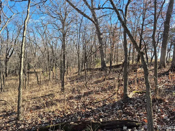 $225,000 | 0 County Road 197, Montgomery City, MO 63361