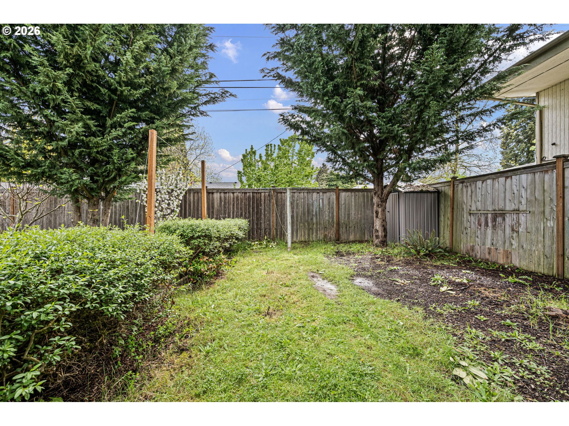 1565 Linwood Street Eugene, OR 97404 - Photo 34 of 42 a view of backyard with tree