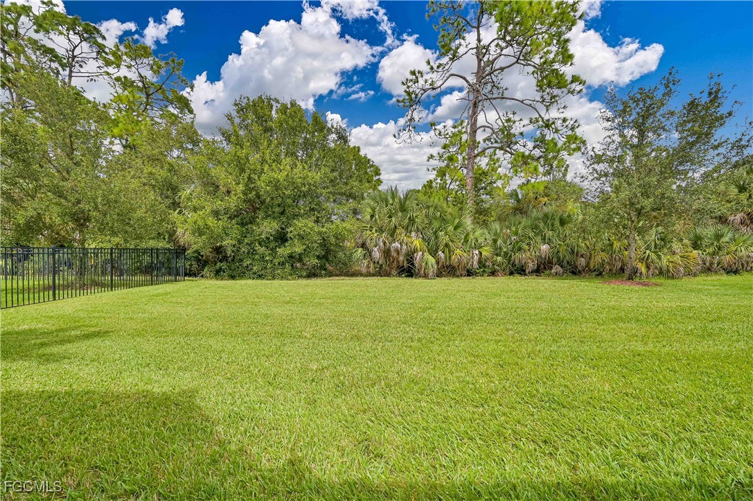 17283 Walnut Run Drive Alva, FL 33920 - Photo 10 of 49 a view of a field with large trees