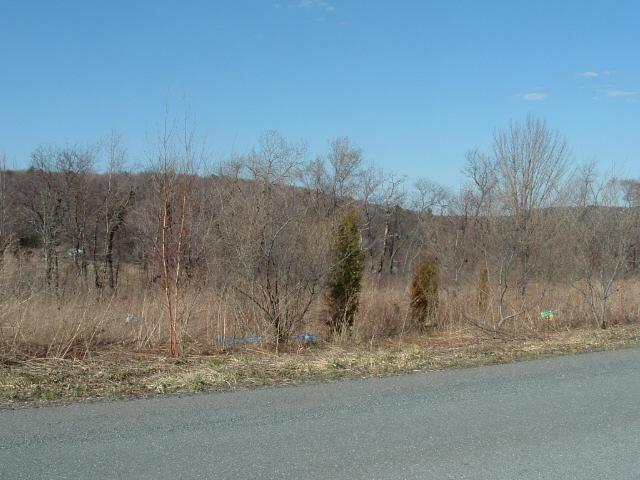 5 Quail Road Kunkletown, PA 18058 - Photo 8 of 8 Lot