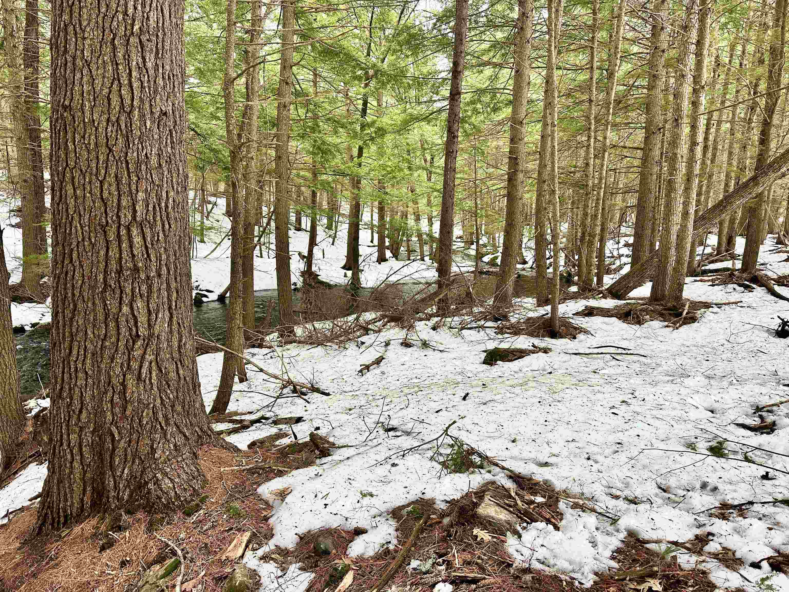 336 Old Jaffrey Road, Unit LOT R3122 Peterborough, NH 03458 - Photo 5 of 11 Gallery Image 5