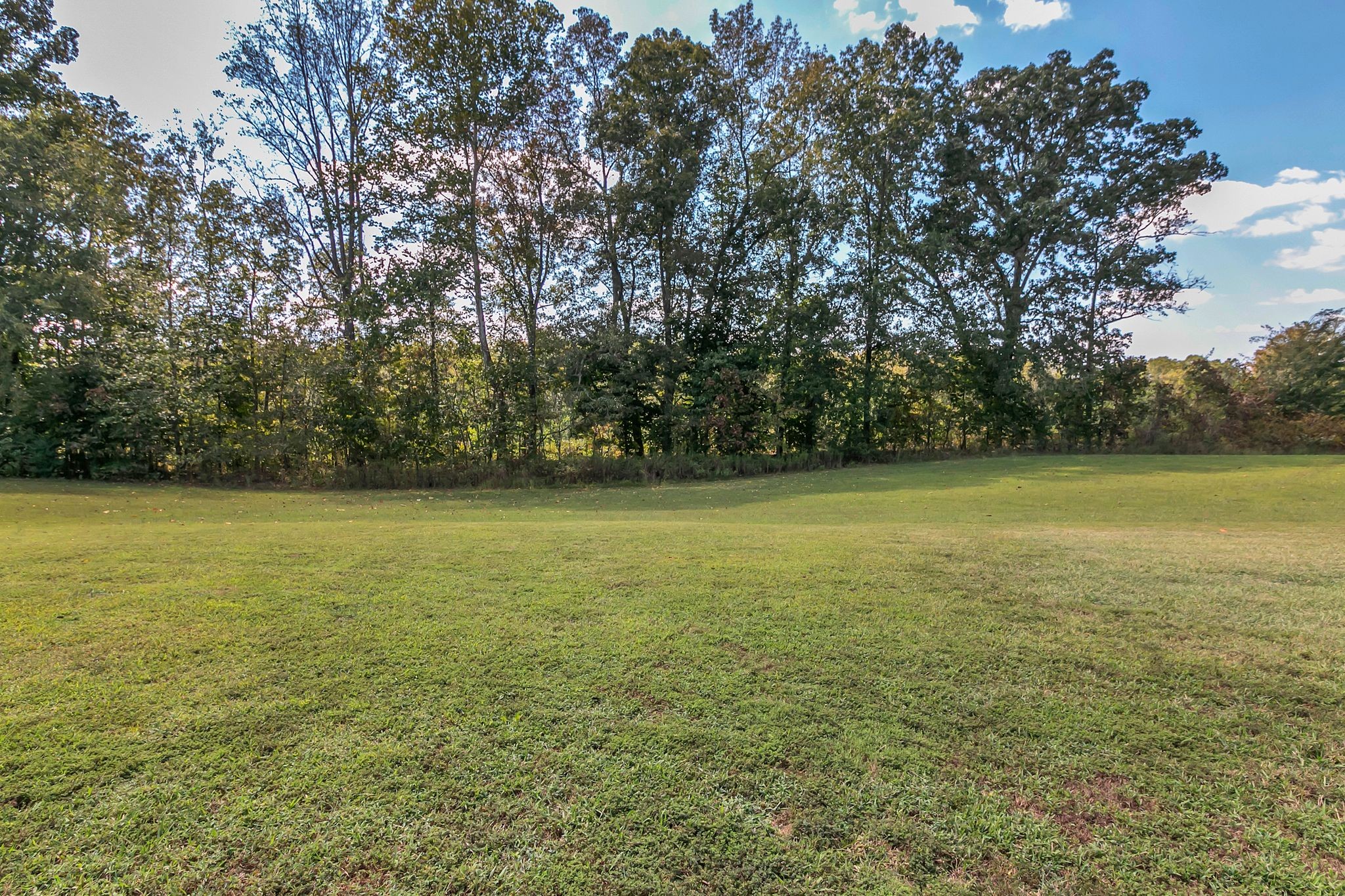 2640 Perkins Road Puryear, TN 38251 - Photo 30 of 30 Gallery Image 30