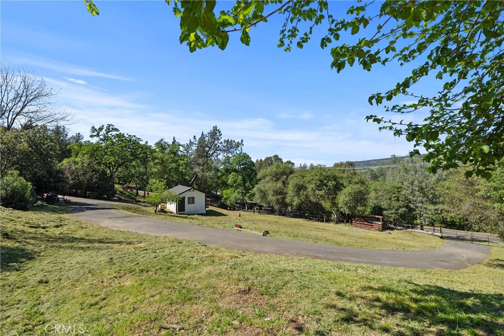 904 Long Bar Road Oroville, CA 95966 - Photo 45 of 50 a view of a yard with yellow house