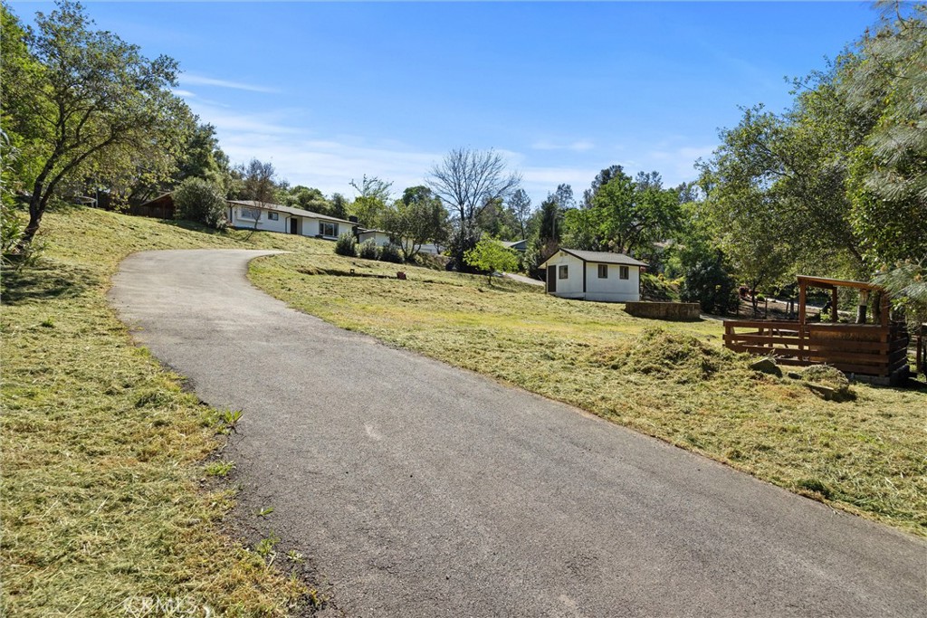 904 Long Bar Road Oroville, CA 95966 - Photo 8 of 50 a view of a yard with an trees