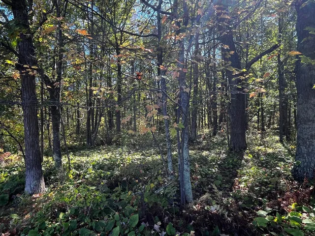 $125,000 | 2 County Road 2, Brainerd, MN 56401