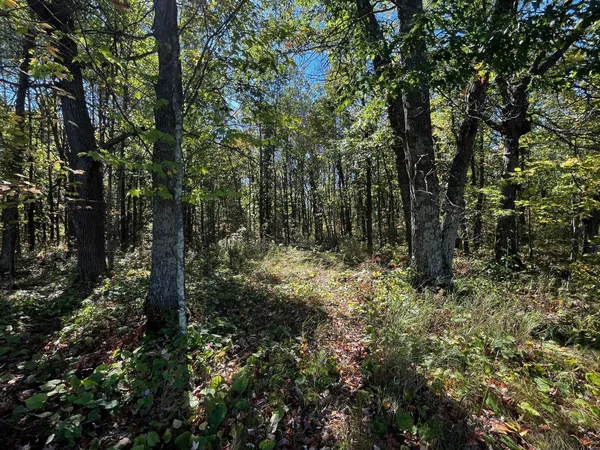 $125,000 | 2 County Road 2, Brainerd, MN 56401