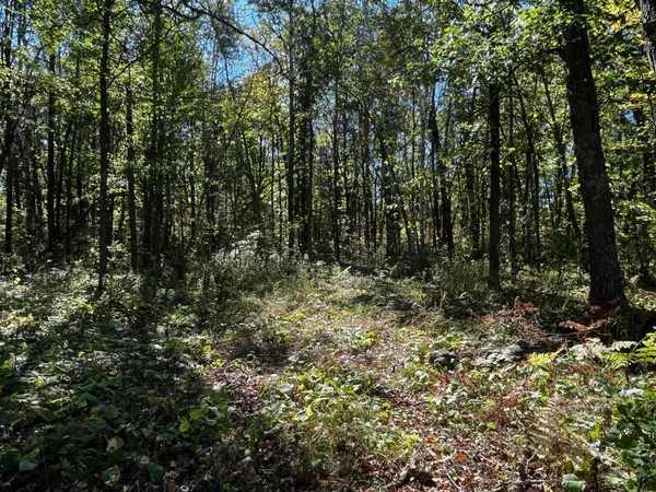 $125,000 | 2 County Road 2, Brainerd, MN 56401