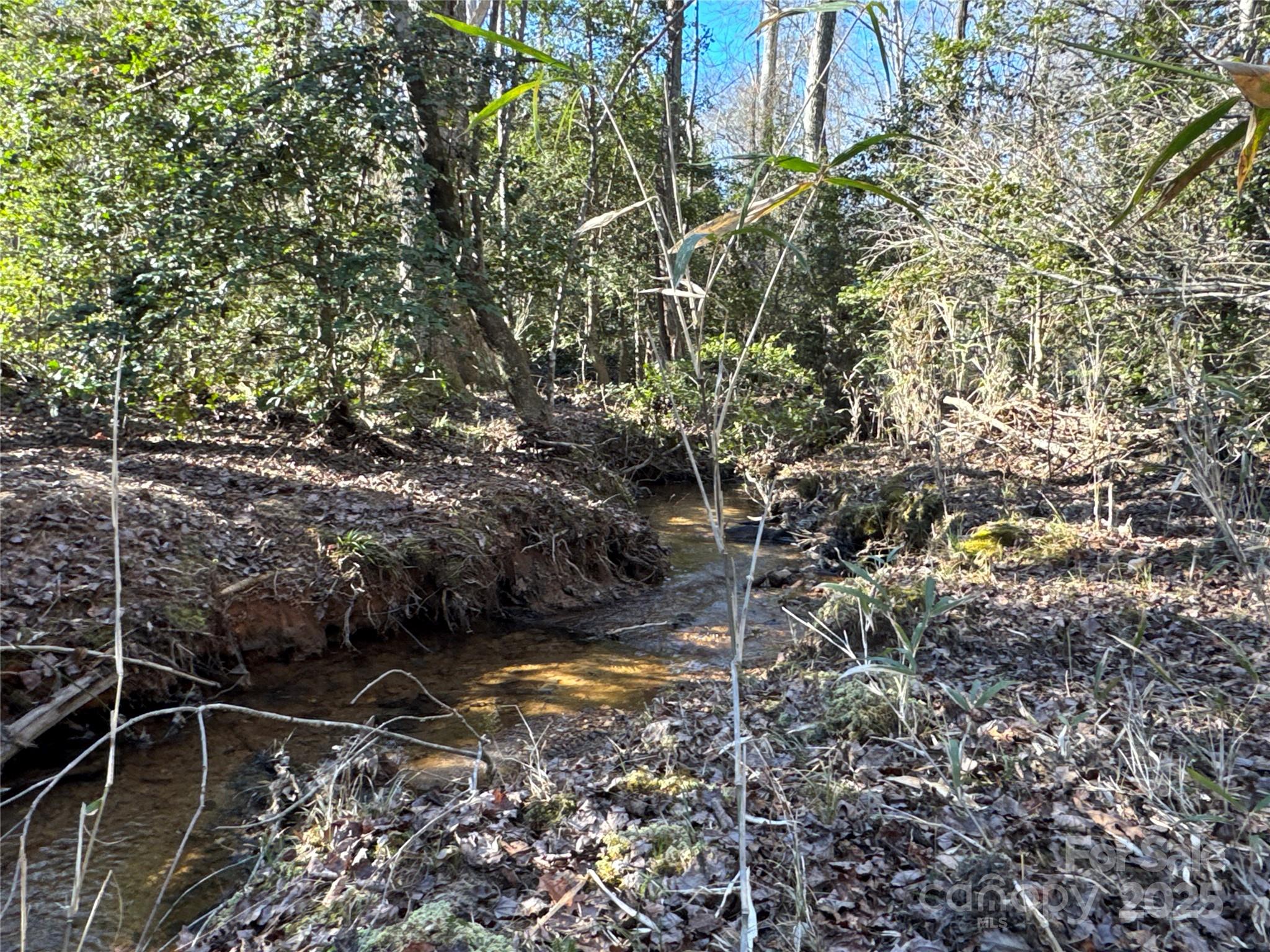 0 Brooks Chapel Road Ellenboro, NC 28040 - Photo 23 of 33 Gallery Image 23