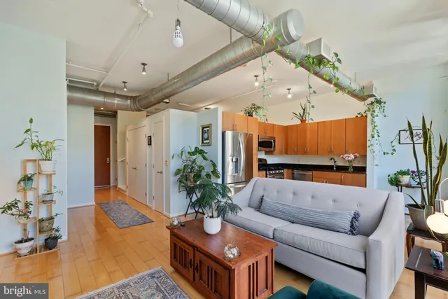 a living room with furniture potted plant and a chandelier