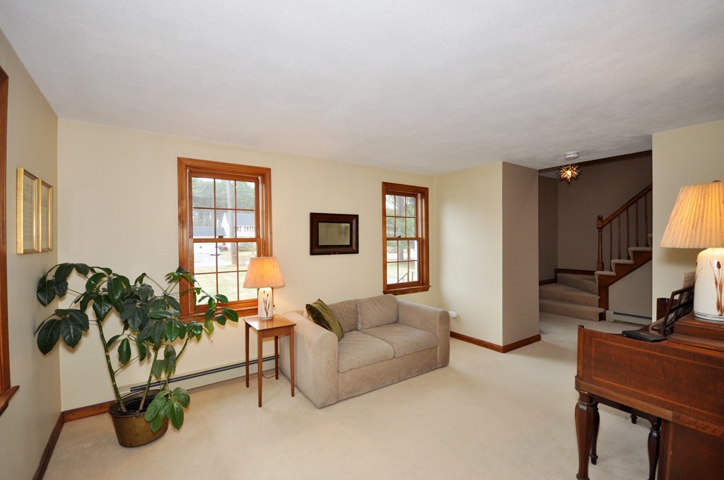 29 Blanchard Road Boxborough, MA 01719 - Photo 4 of 30 a living room with furniture and a potted plant