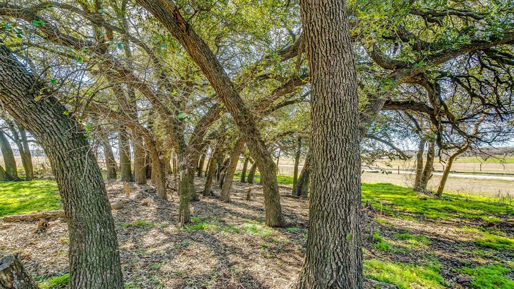 1001 West Lambert Road Weatherford, TX 76088 - Photo 7 of 16