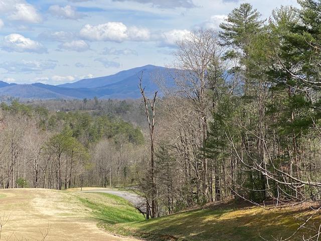 310 Settlers View Road Townsend, TN 37882 - Photo 26 of 30 View