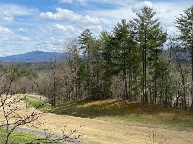 310 Settlers View Road Townsend, TN 37882 - Photo 27 of 30 View
