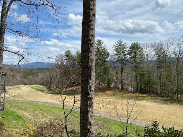310 Settlers View Road Townsend, TN 37882 - Photo 28 of 30 View