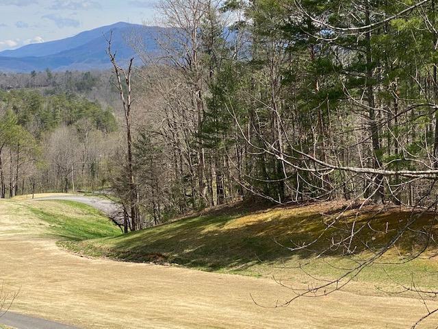 310 Settlers View Road Townsend, TN 37882 - Photo 4 of 30 Golf Course