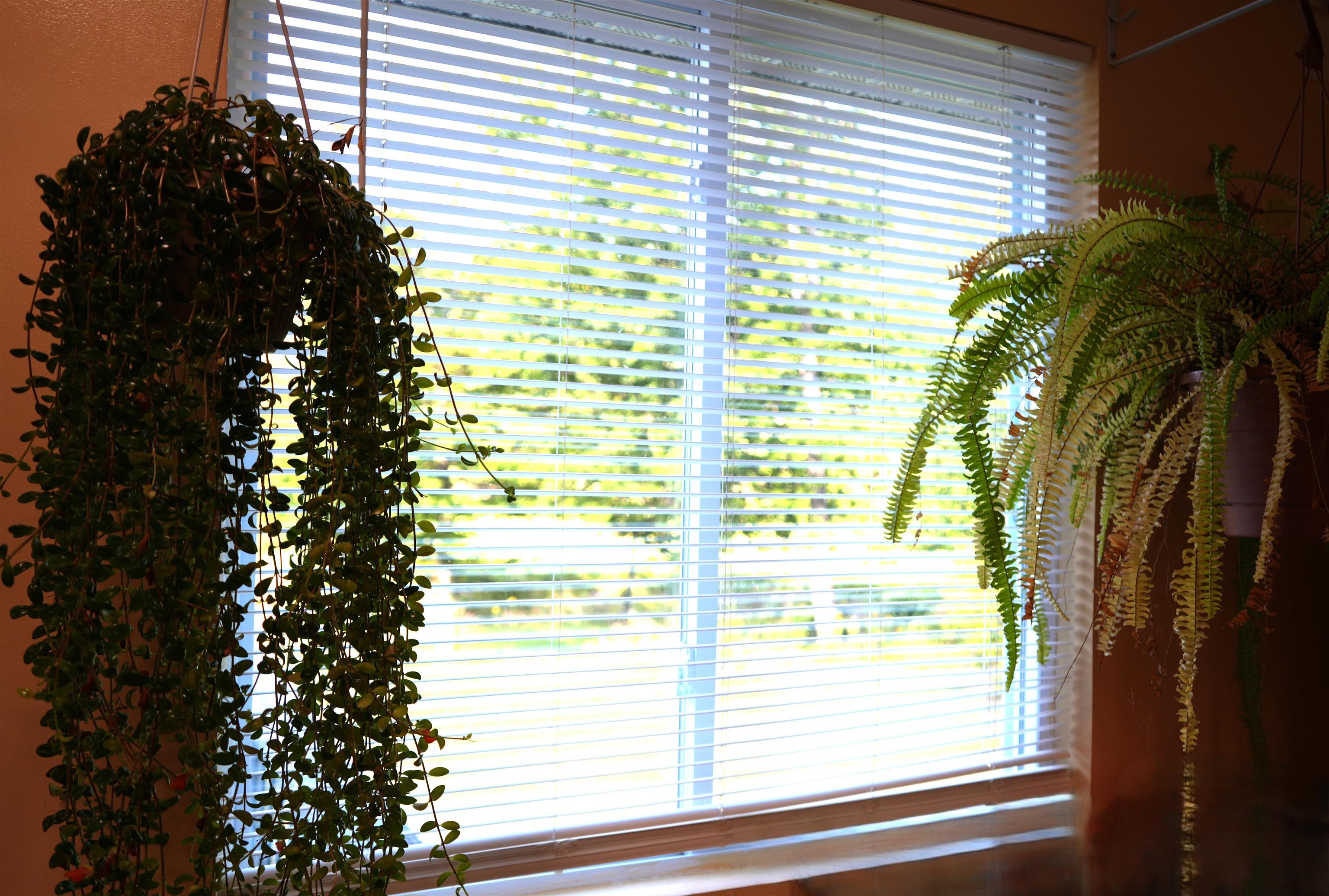 1268 County Road Windsor, VT 05089 - Photo 14 of 20 Gallery Image 14