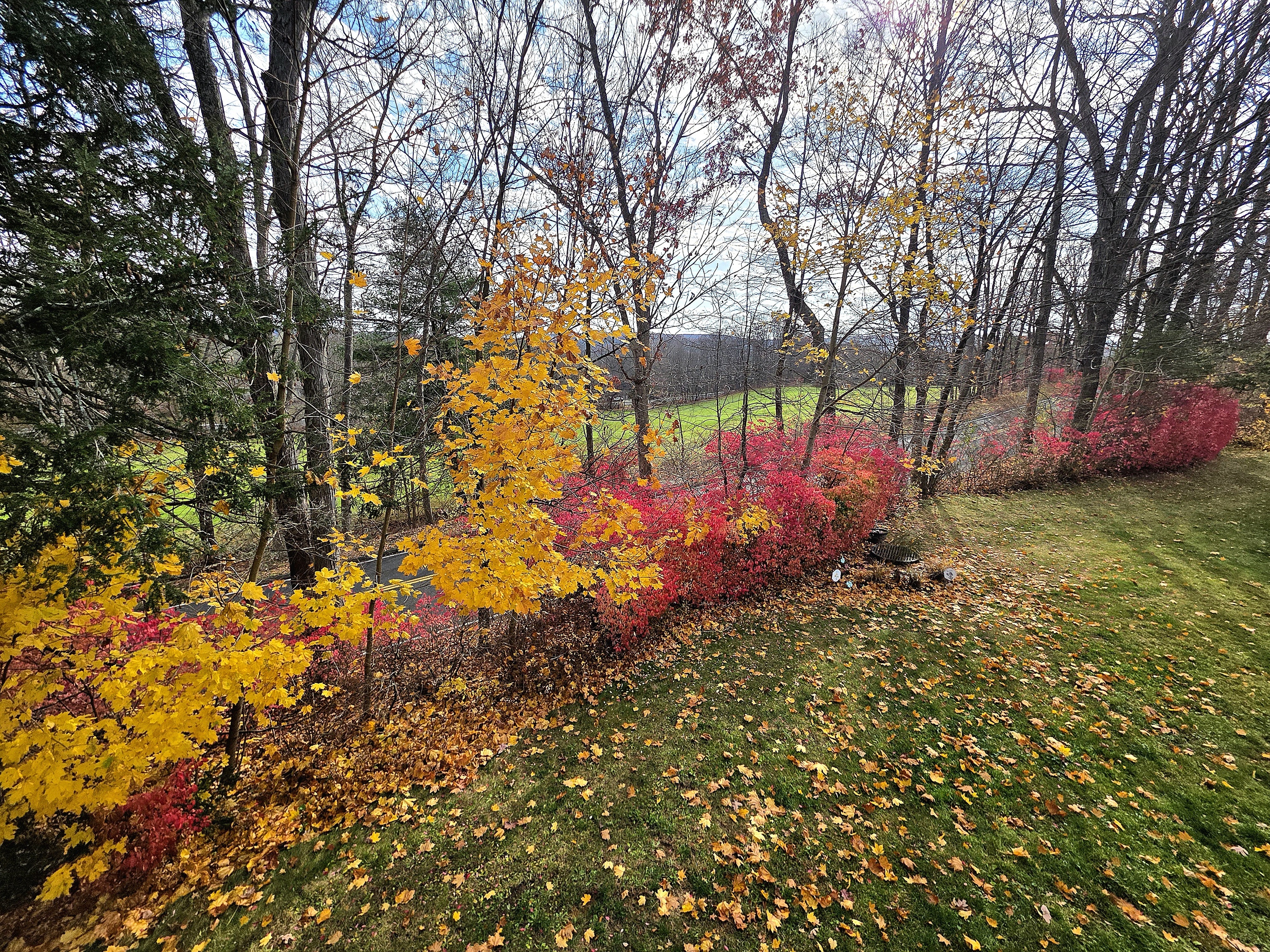 39 Heritage Village, Unit C Southbury, CT 06488 - Photo 10 of 39 The view changes with every season.
