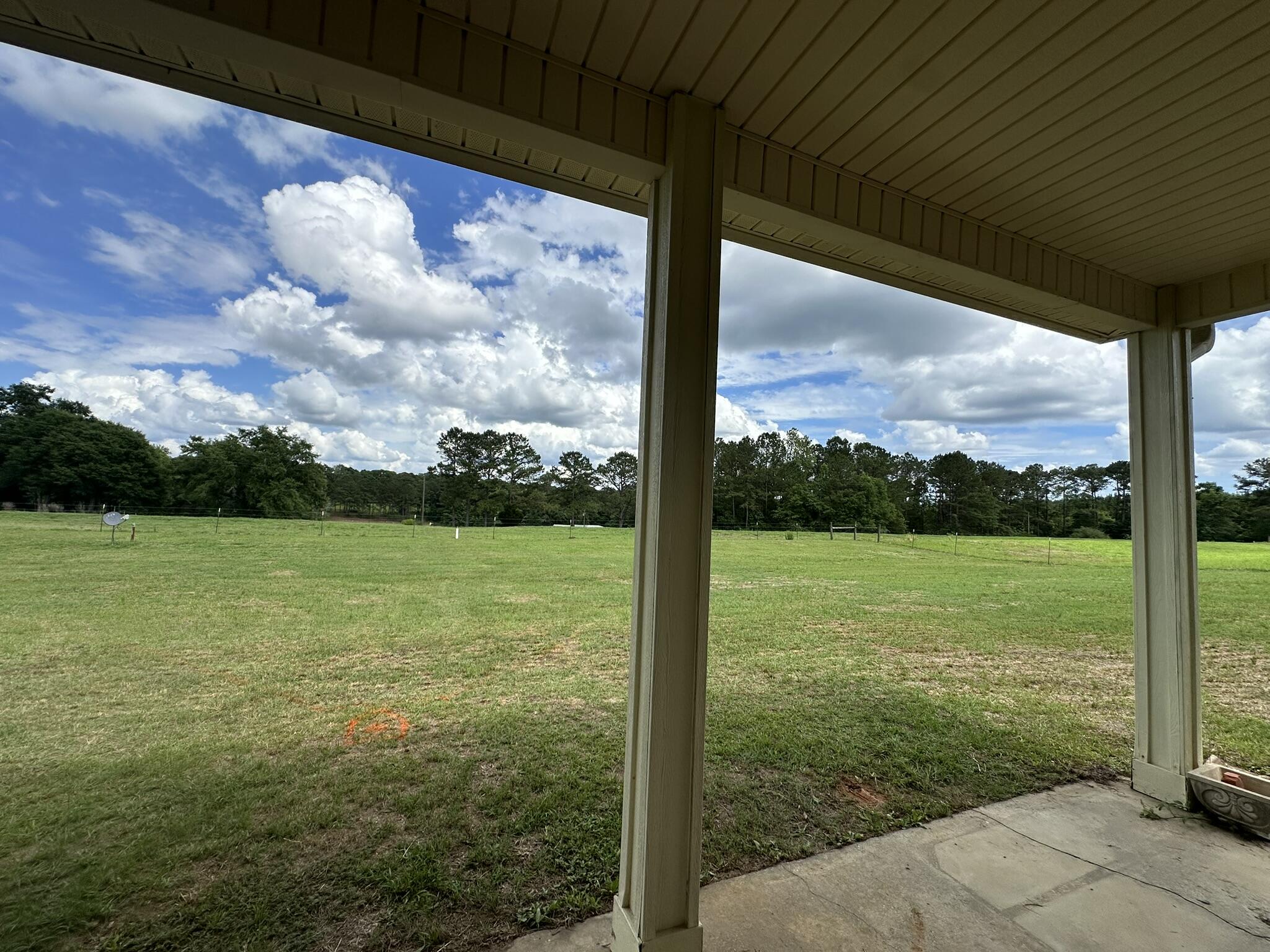 420 A Gomillion Road Florala, AL 36442 - Photo 5 of 23 IMG_9958