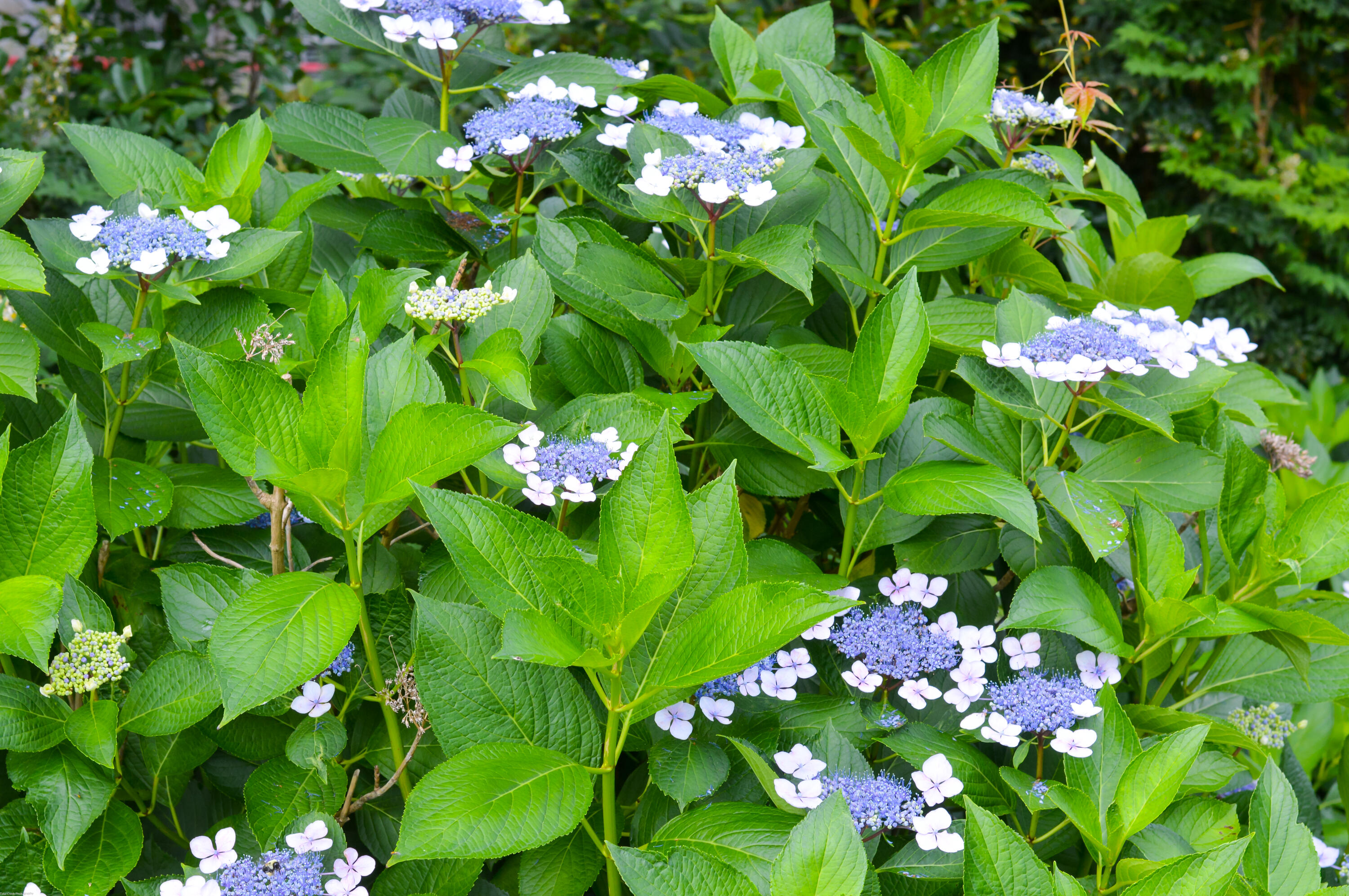 1441 Burningtree Road Charleston, SC 29412 - Photo 29 of 35 1441 Burning Tree -Tidalcreekphoto- (33)