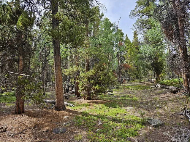 a backyard of a house with trees