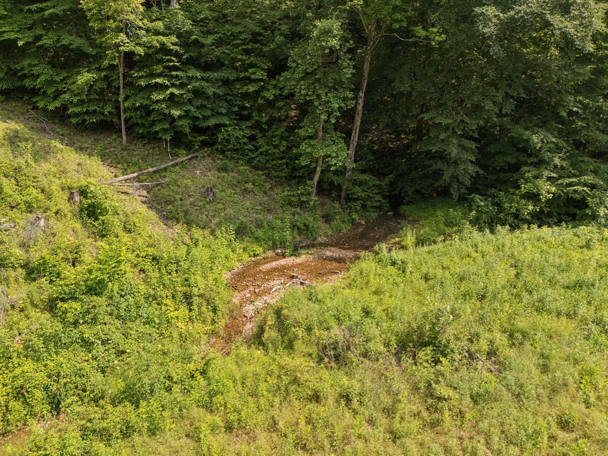 4255 McFall Road Cumberland City, TN 37050 - Photo 66 of 73