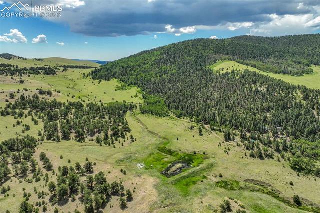 377 Cover Valley Road Guffey, CO 80820 - Photo 35 of 38 Gallery Image 35