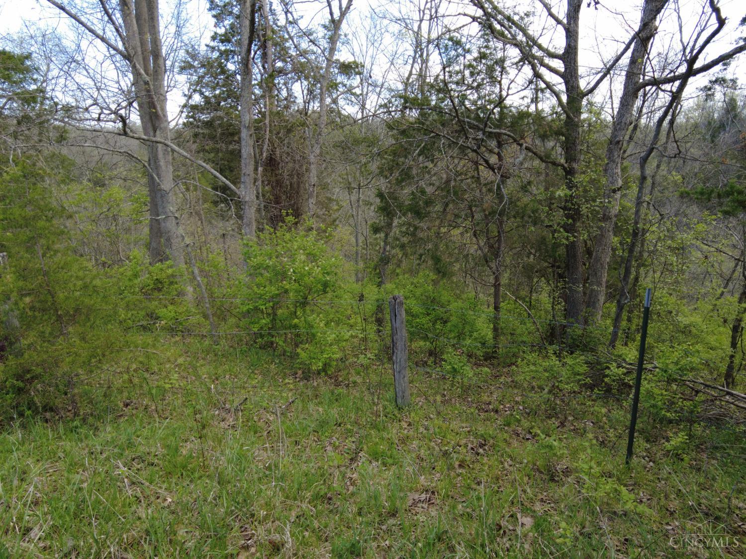 9951 Fishing Gut Road Aberdeen, OH 45101 - Photo 21 of 50