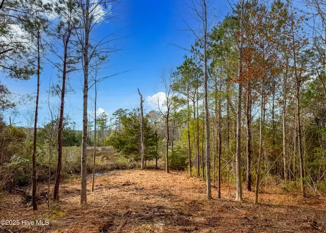 $119,000 | 230 Kings Creek Crossing, Holly Ridge, NC 28445