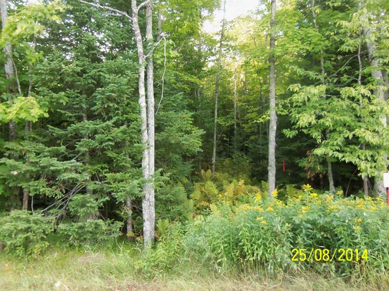 Lot 32 Nathan Pass Mercer, WI 54547 - Photo 6 of 8 Gallery Image 6