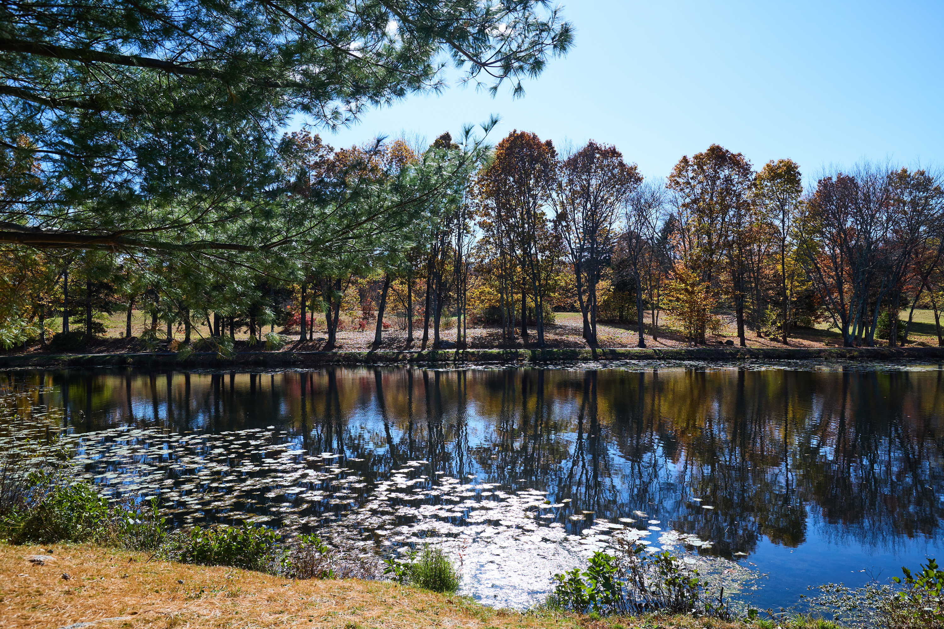 146 Coach Circle, Unit 5 Naugatuck, CT 06770 - Photo 30 of 35