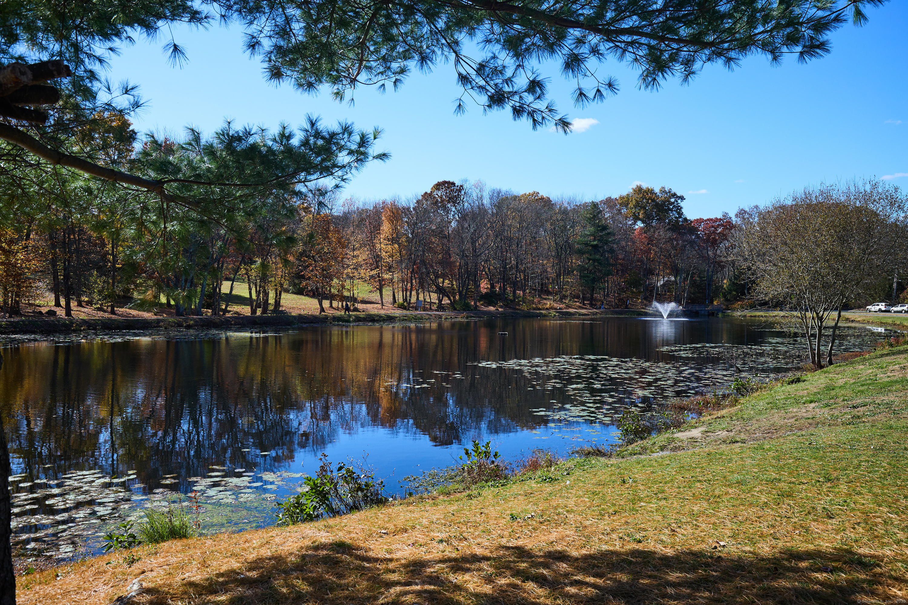 146 Coach Circle, Unit 5 Naugatuck, CT 06770 - Photo 4 of 35