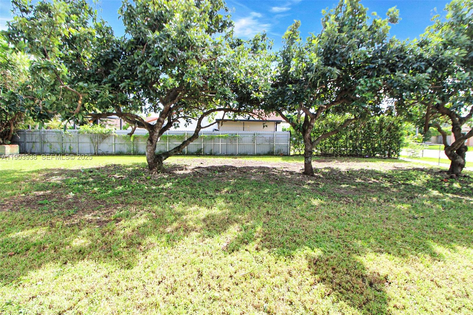 13224 Southwest 253rd Terrace Homestead, FL 33032 - Photo 13 of 19 a view of yard with trees