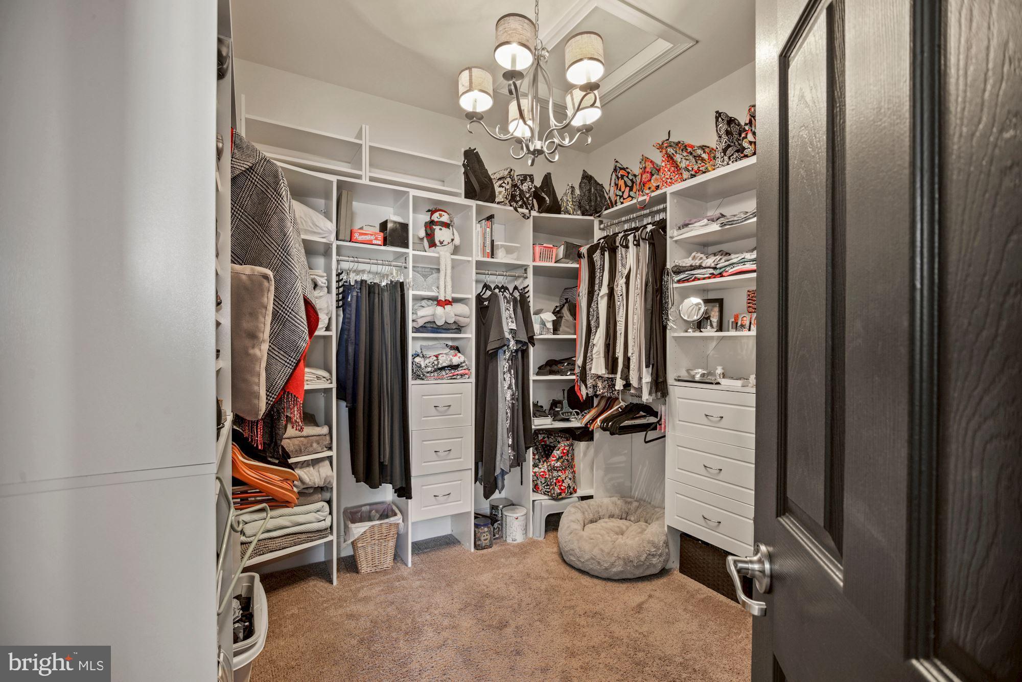 133 Bay Hill Road Magnolia, DE 19962 - Photo 17 of 45 Custom Walk In Closet
