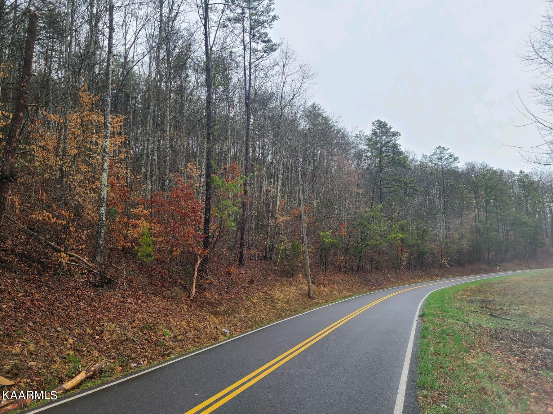 Heck Branch Road Rogersville, TN 37857 - Photo 20 of 29 20230302_092101