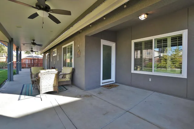 a view of a backyard with palm trees