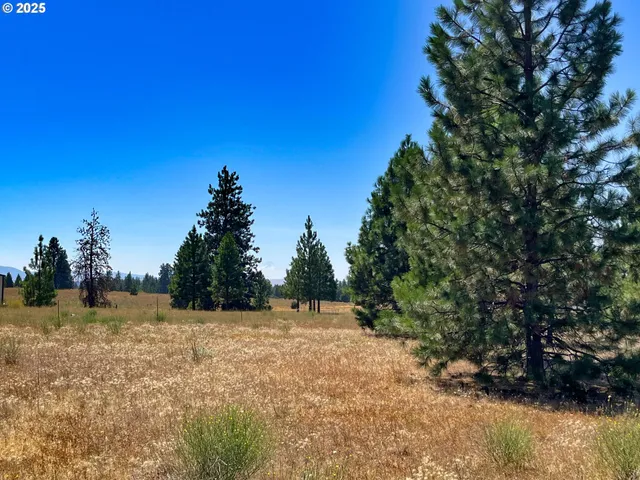 a view of a field with trees in the background