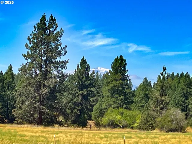 a view of a yard with an outdoor space