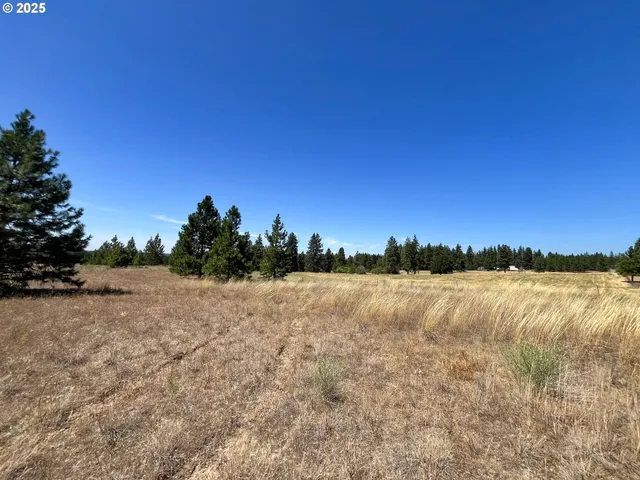 a view of lake and mountain