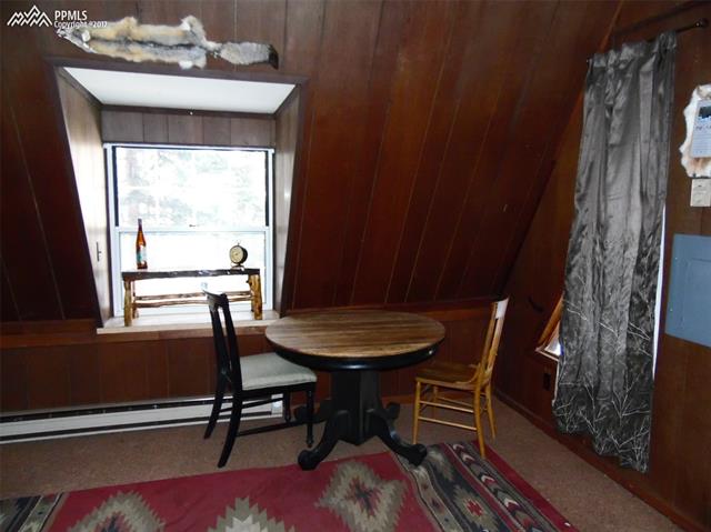 164 Valley Road Florissant, CO 80816 - Photo 11 of 23