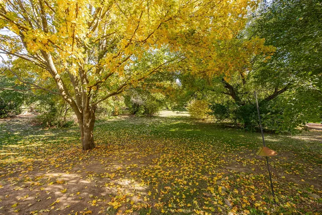 $750,000 | 4915 Pershing Avenue, Downers Grove, IL 60515