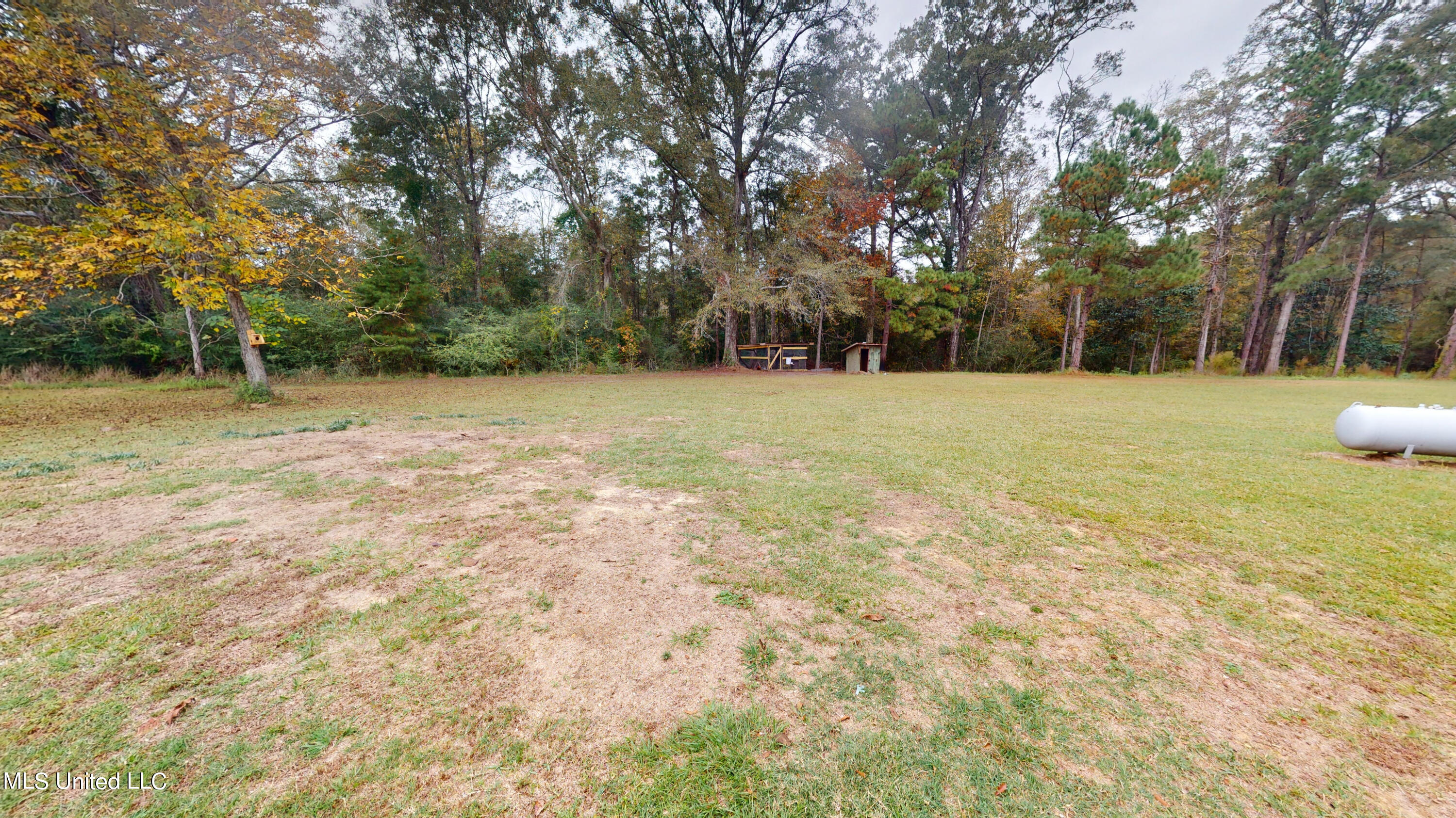 1133 Pine Level Road Leakesville, MS 39451 - Photo 17 of 21 1133-Pine-Level-Rd-11202023_102402