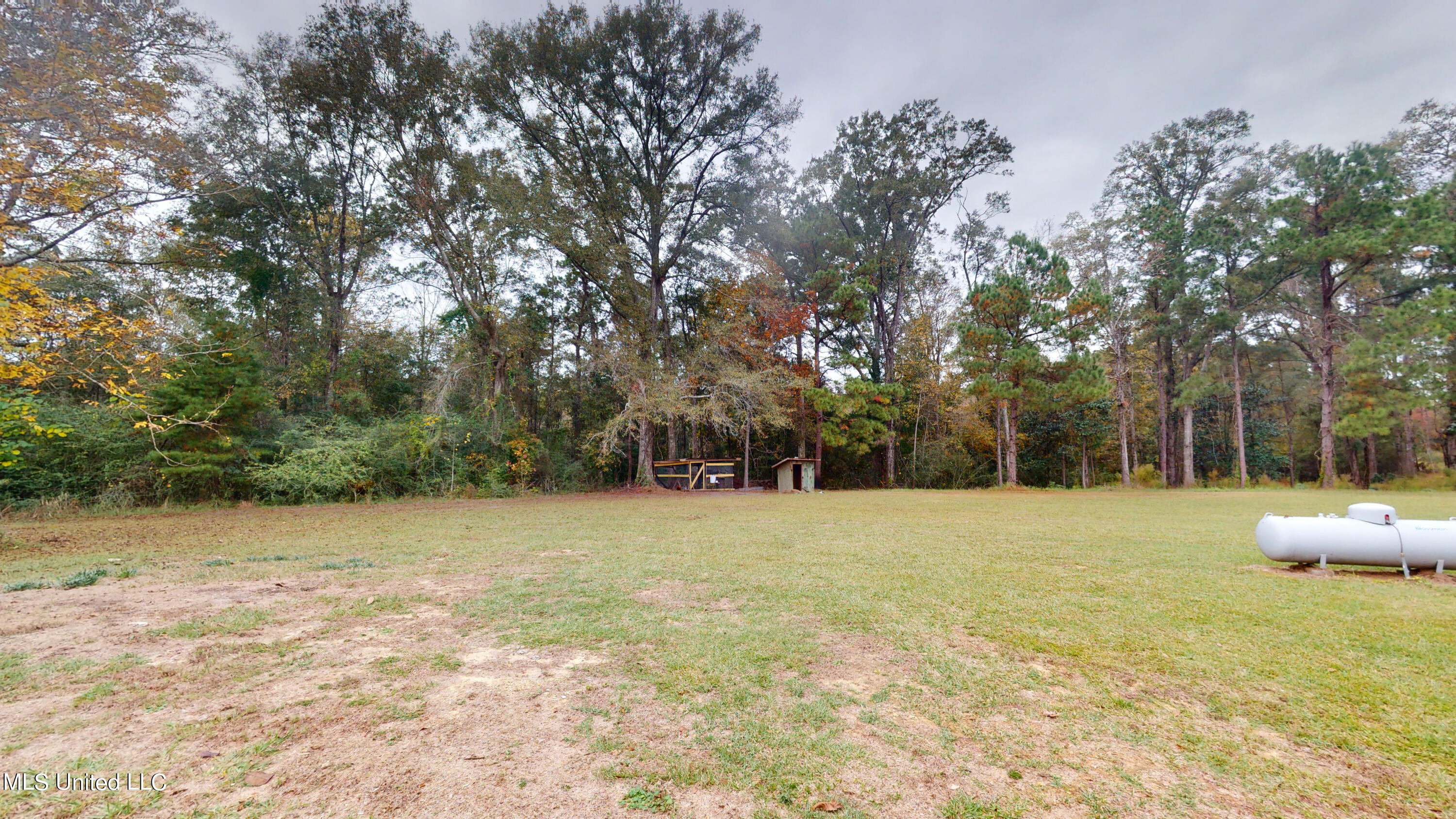 1133 Pine Level Road Leakesville, MS 39451 - Photo 20 of 21 1133-Pine-Level-Rd-11202023_112713