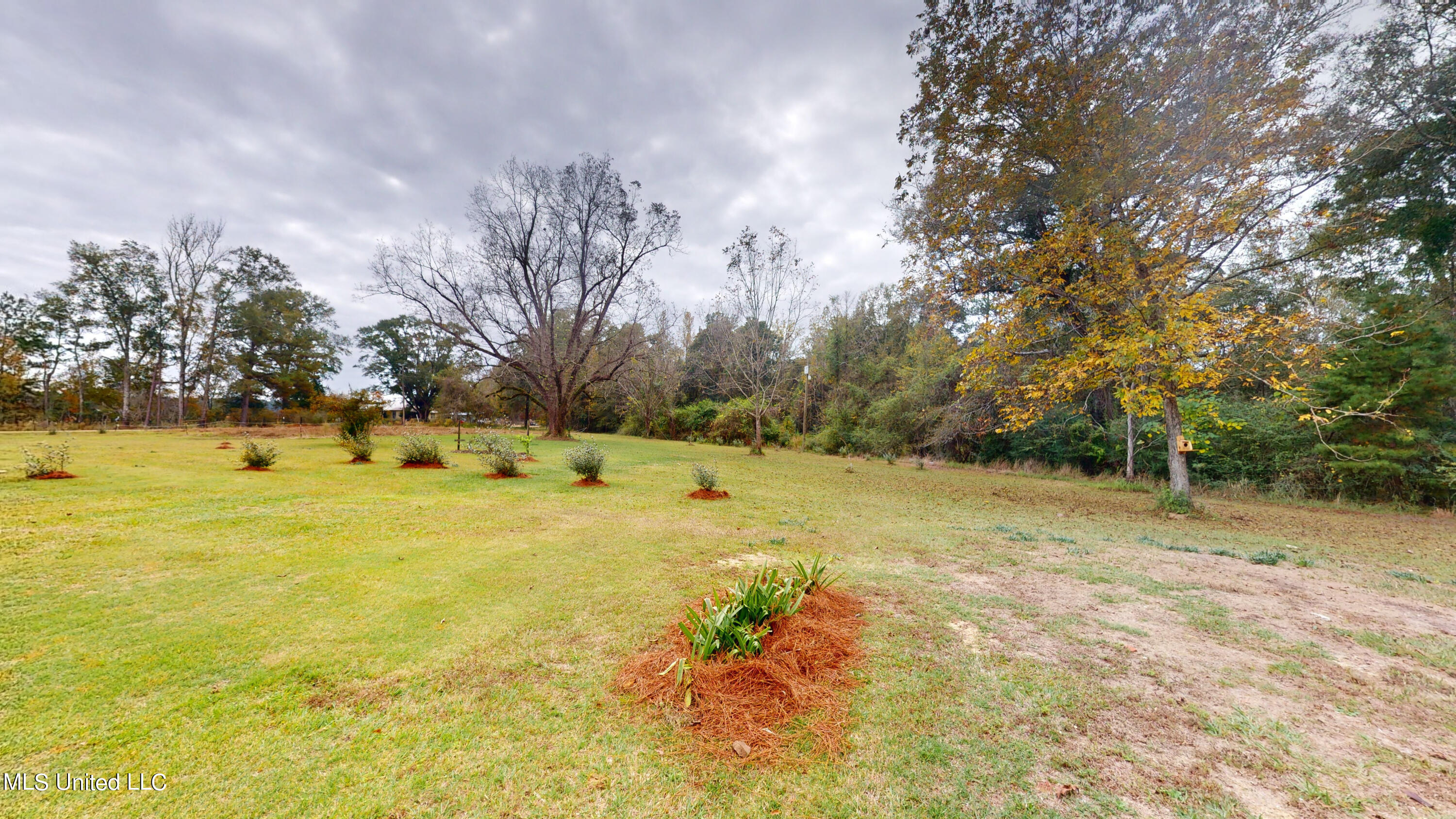 1133 Pine Level Road Leakesville, MS 39451 - Photo 21 of 21 1133-Pine-Level-Rd-11202023_112731