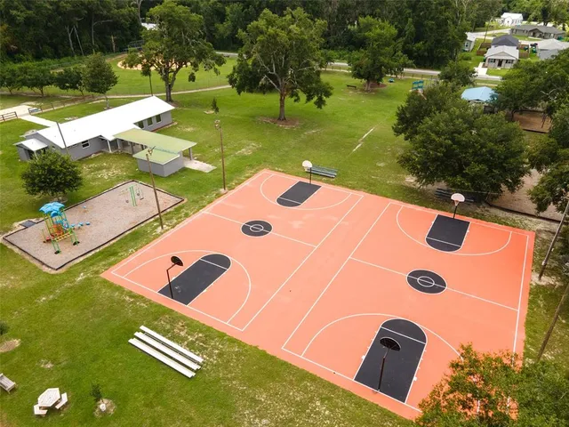 swimming pool view with a garden and trees