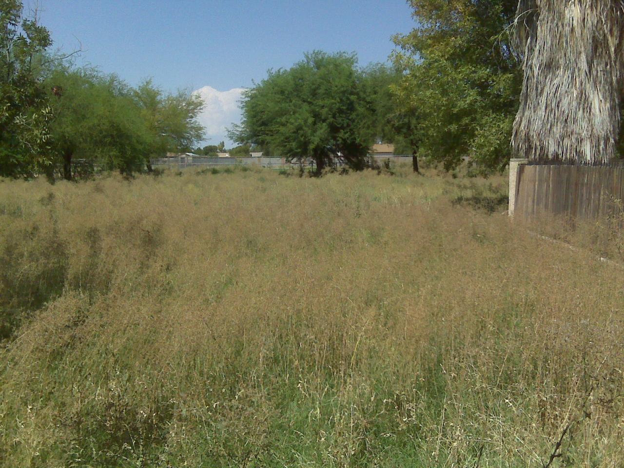 6548 West Vineyard Road Laveen, AZ 85339 - Photo 2 of 10 backyard