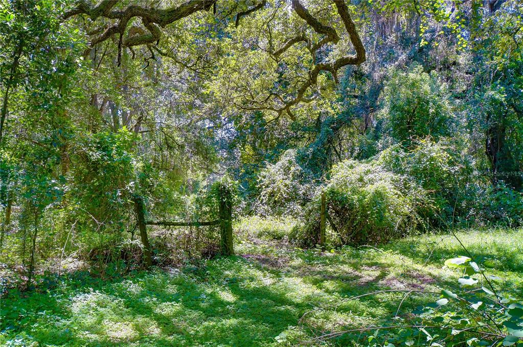 3801 Pate Road Zephyrhills, FL 33541 - Photo 63 of 63 Gallery Image 63