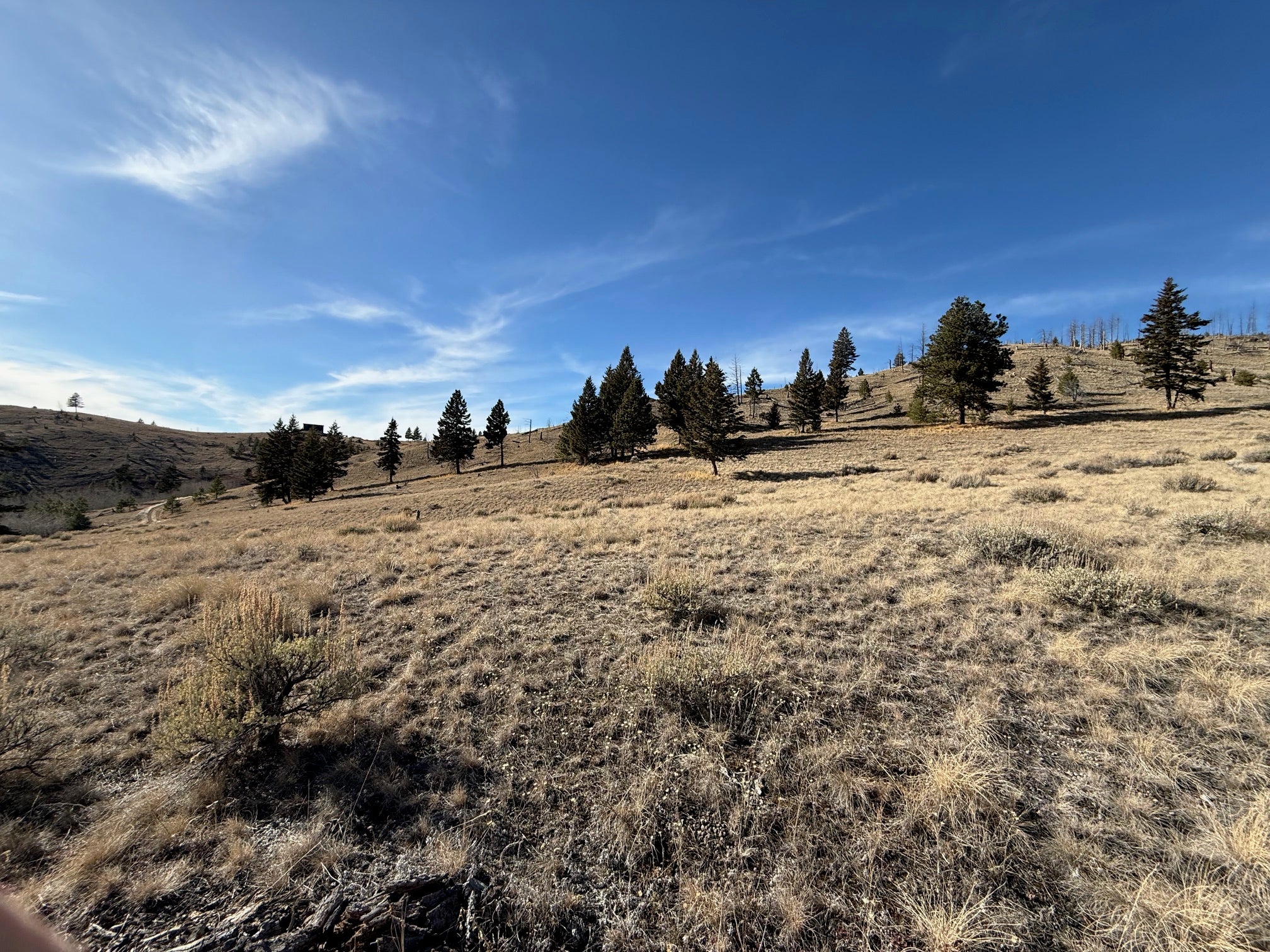 83 Nursery Creek Road Boulder, MT 59632 - Photo 34 of 62 Gallery Image 34